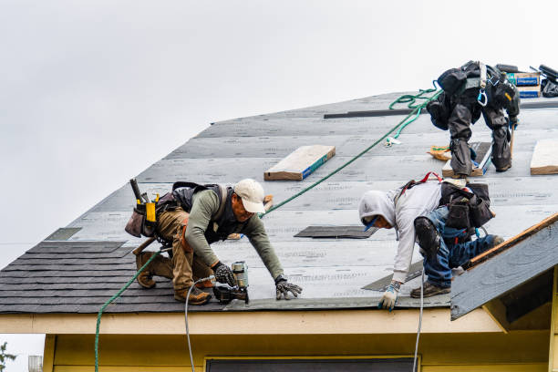 Professional Storm Damage Roof Repair technician working in Scandia, MN